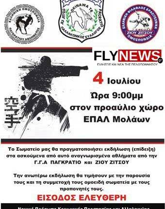 karatemolaoi-flynews_copy